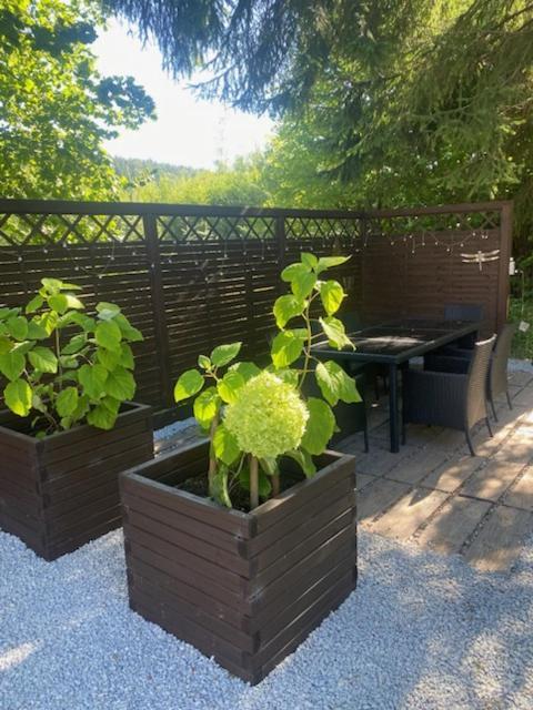 Bialy Zakatek Apartamento Szklarska Poręba Exterior foto
